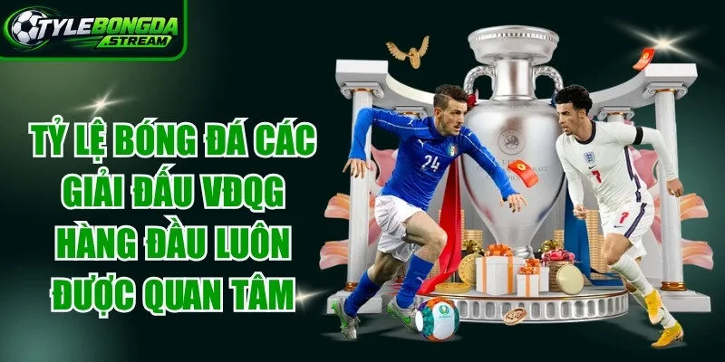 Tỷ lệ bóng đá với các giải đấu VĐQG hàng đầu luôn được quan tâm