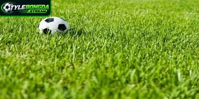 Kèo chấp 1 trái là gì là câu hỏi thu hút sự quan tâm nhiều người