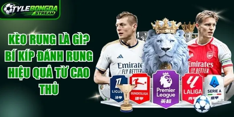 Kèo Rung Là Gì
